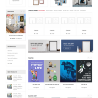 customization in magento website
