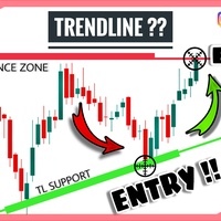 Content and Photography 