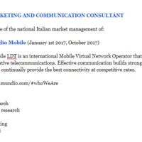Marketing Consultant