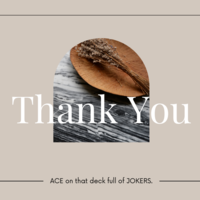 Portfolio Thumbnail 6