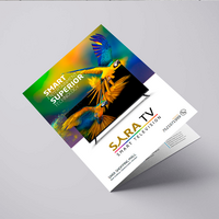 Brochure Design