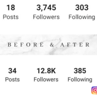 Instagram Organic Engagement Results