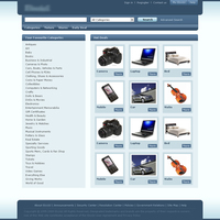 E-commerce Development