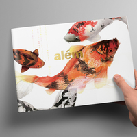 Alem Book Design