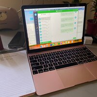 Digital Marketing for a pest control co.