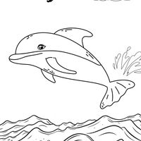 Portfolio Thumbnail 8