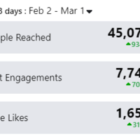 Facebook page 1 month progress result