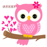 Pink owl new artwork modern design