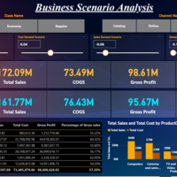 Business Scenario Analysis and What-if Analysis Dashboard