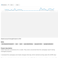 Improved E-commerce Shopping Campaign