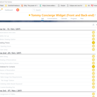 Project Management using Asana