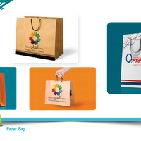 Paper Bag