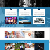 Business website