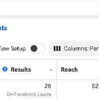 Facebook Ads Results