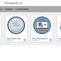 Personal / Virtual Assistant
