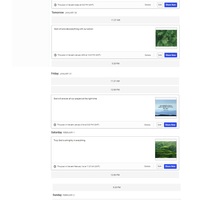 Social media posting