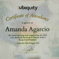 Team Lead Summit Certificate