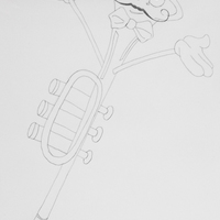 Illustrations