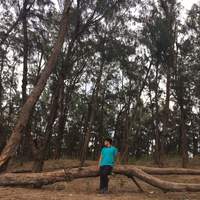 Lonely but Happy