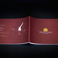 Brochure Design