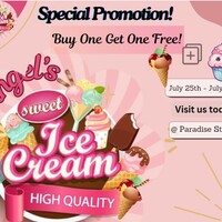 PROMOTIONAL PRESENTATION