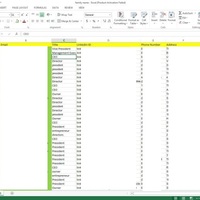 Leads