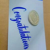 Silver Annual Sales Target Award