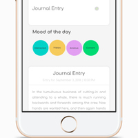 iBlossom: Jounal Screen