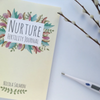 Hedgehog Healing Fertility Journal book design