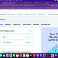 A2P 10DLC Registration Expert