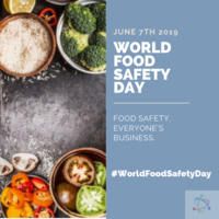 Portfolio Thumbnail 10