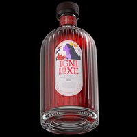 Gin Bottle Modelling & Rendering