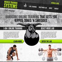 Wicked Training System