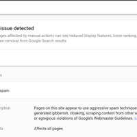 Google Pure Spam Manual Action Removal