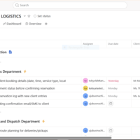 Team Coordination & Task Tracking | Asana Workflow Design 
