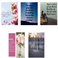 Graphisc using canva