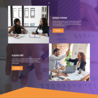 Consultant agent website