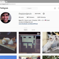 Instagram Marketing Management