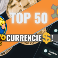 Portfolio Thumbnail 1