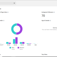 Analytical Report No.3