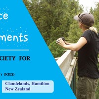 Web Banner