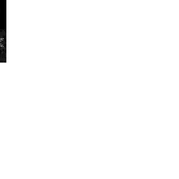 Portfolio Thumbnail 0