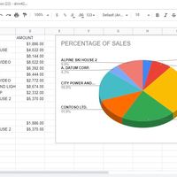 pie cart (amount vs.customer)