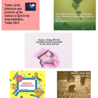 Social Media Management