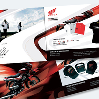 Portfolio Thumbnail 0