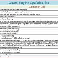 Search Engine  Optimization