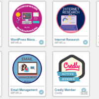 Virtual Assistant Bootcamp Badges