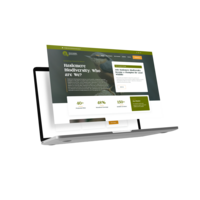 Portfolio Thumbnail 1