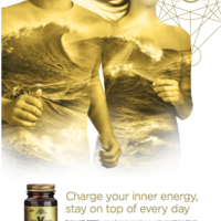 Copy for Solgar's 2018 supplement product launch