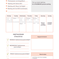 Clients weekly schedule 